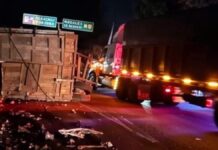 Volcadura de tráiler provoca cierre parcial en la Puebla-Orizaba