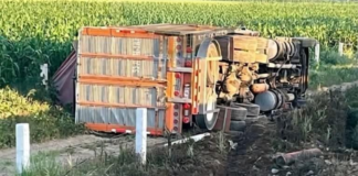 Accidente de tres camiones cierra la Cuapiaxtla–Cuacnopalan