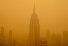 Humo de incendios genera alerta rumbo a final Argentina vs España