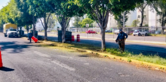 Dan mantenimiento a camellones en vialidades de Puebla
