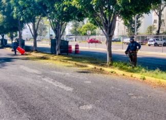 Dan mantenimiento a camellones en vialidades de Puebla