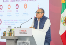 Puebla tendrá cuatro asambleas para Ley de Pueblos Indígenas