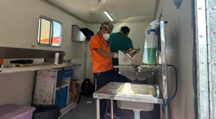 Puebla suma 18 mil esterilizaciones gratuitas para mascotas