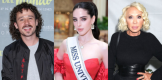 Famosos e influencers piden justicia por muerte del perro Rocky