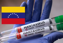 Confirman tres muertes por hantavirus en Venezuela
