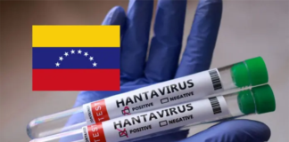 Confirman tres muertes por hantavirus en Venezuela