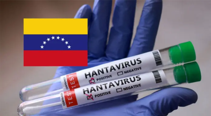 Confirman tres muertes por hantavirus en Venezuela