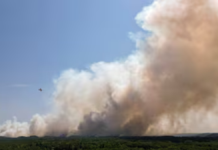 Movilizan aviones cisterna durante ola de calor e incendio en Francia