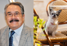 Pedro Sola desata polémica por comentario sobre perros