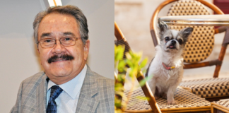 Pedro Sola desata polémica por comentario sobre perros