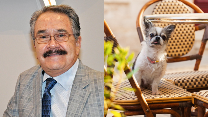 perros