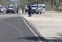Muere policía auxiliar tras ser arrollada en la Puebla–Tehuacán