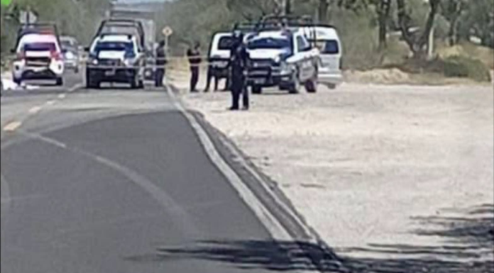 Muere policía auxiliar tras ser arrollada en la Puebla–Tehuacán
