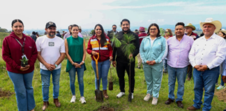 San Pedro Cholula realiza Primera Jornada de Reforestación 2026