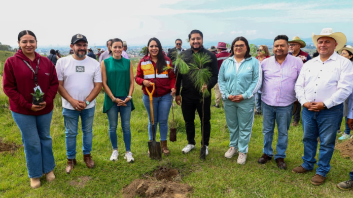 reforestación