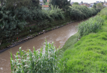 Buscan solución definitiva a inundaciones del río Alseseca