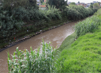 Buscan solución definitiva a inundaciones del río Alseseca