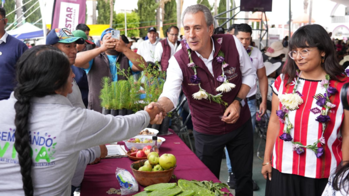 servicios