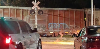 Tren impacta y arrastra automóvil en Bosques de San Sebastián