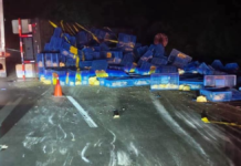 Volcadura de tráiler con pollo cierra la Puebla–Orizaba