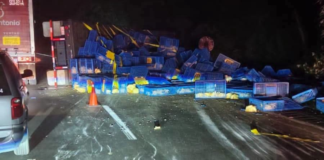 Volcadura de tráiler con pollo cierra la Puebla–Orizaba