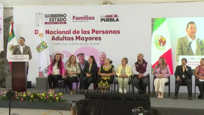 Adultos