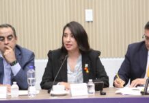 Angélica Alvarado propone tipificar el acecho como delito autónomo