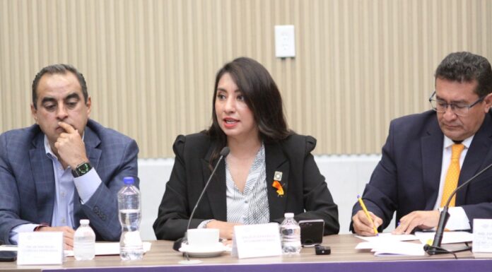 Angélica Alvarado propone tipificar el acecho como delito autónomo