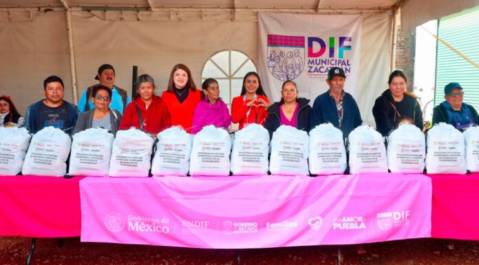 Bety Sánchez entrega 437 despensas a adultos mayores en Zacatlán