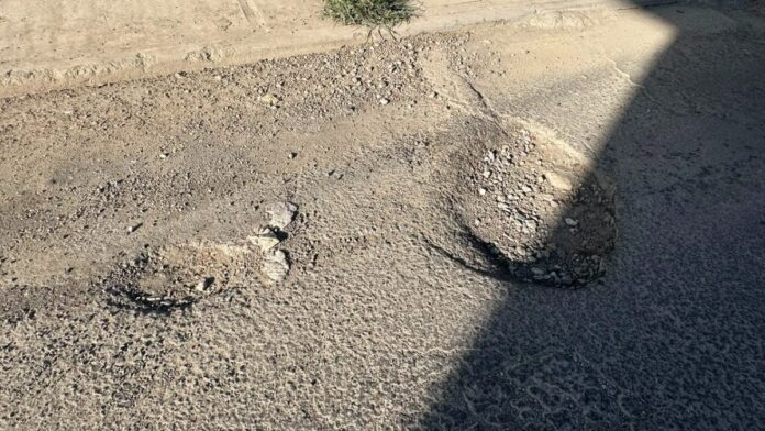 Bache