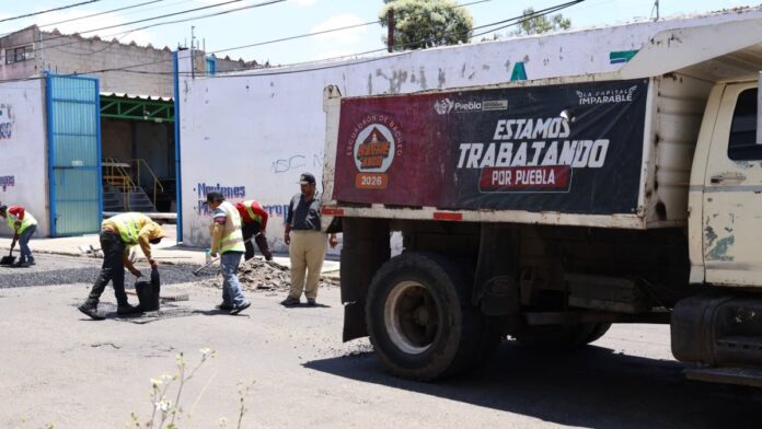 Bacheo