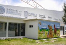 Apenas 34 municipios poblanos cuentan con Centro de Bienestar Animal