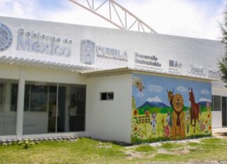 Apenas 34 municipios poblanos cuentan con Centro de Bienestar Animal