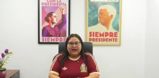 Morena aplaza convocatoria para 500 coordinaciones distritales