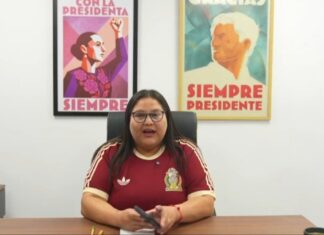 Morena aplaza convocatoria para 500 coordinaciones distritales