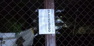 Clausuran palenque clandestino con peleas de gallos en San Pedro Cholula