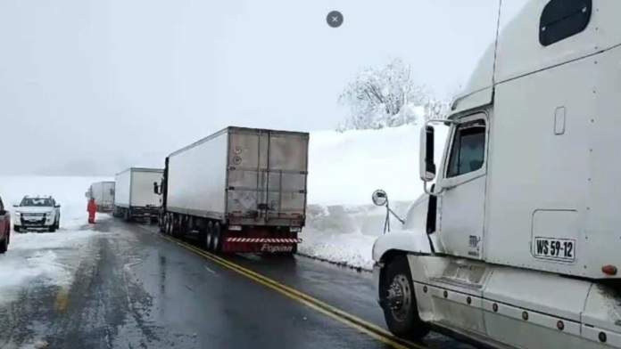 Cruce Fronterizo