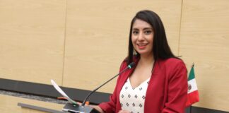 Proponen fortalecer atención a mujeres víctimas de violencia