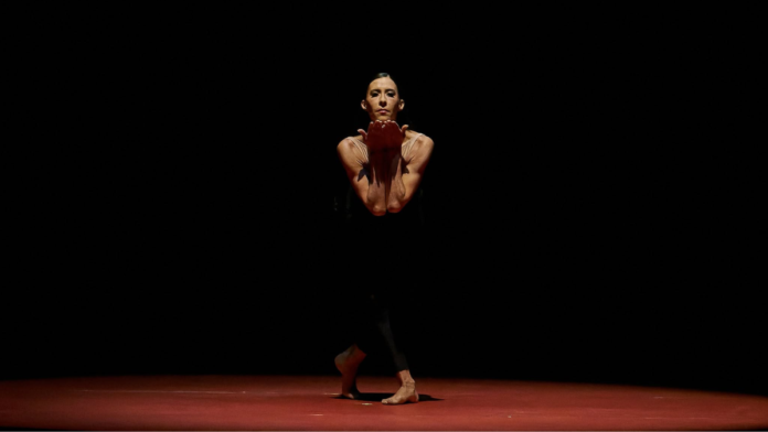 Elisa-Carrillo
