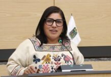 Diputada Elisa Limon propone diferenciar maltrato y crueldad animal