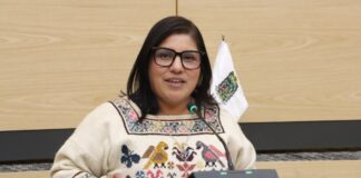 Diputada Elisa Limon propone diferenciar maltrato y crueldad animal