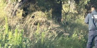 Asesinan y abandonan a hombre emplayado en la carretera Amozoc-Acajete