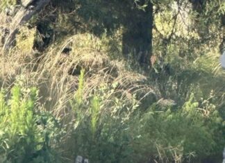 Asesinan y abandonan a hombre emplayado en la carretera Amozoc-Acajete