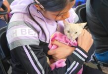 Texmelucan realiza Macrojornada gratuita de esterilización