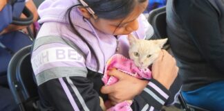 Texmelucan realiza Macrojornada gratuita de esterilización