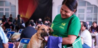 San Andrés Cholula realiza jornada masiva de esterilización felina y canina