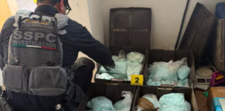 Incautan 4 millones de dosis de fentanilo en Mexicali