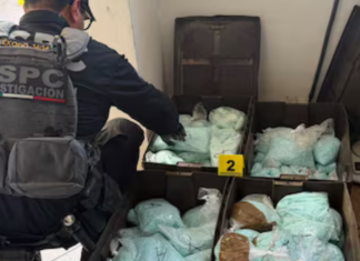 Incautan 4 millones de dosis de fentanilo en Mexicali
