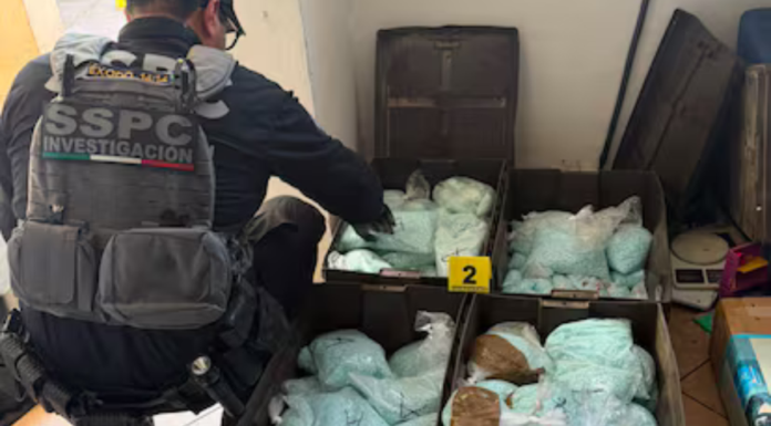 Incautan 4 millones de dosis de fentanilo en Mexicali