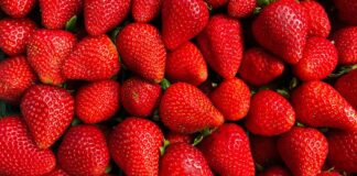 EU impone cuota antidumping de 5.28% a fresa mexicana